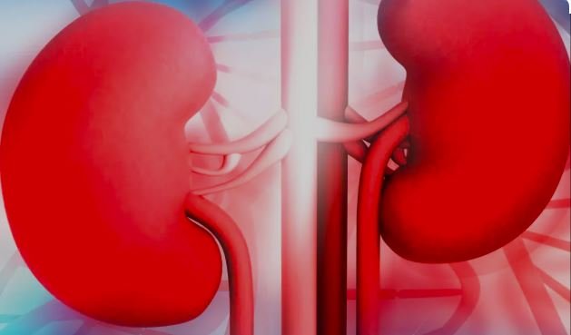 Chronic Kidney Disease