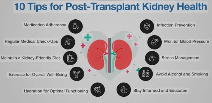 Post Kidney Transplant Complications