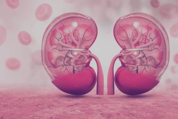 Anaemia of Kidney Disease